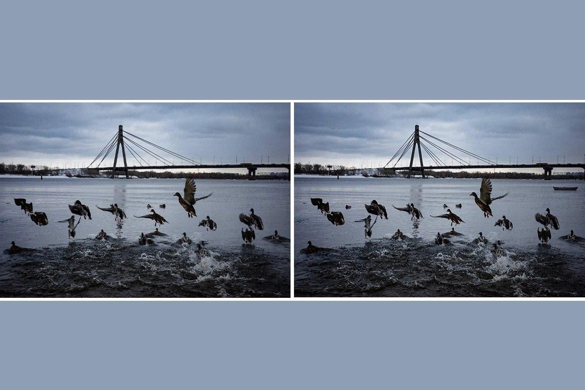 Collage Moje, foto Moje, Vyacheslav Ratinskyy