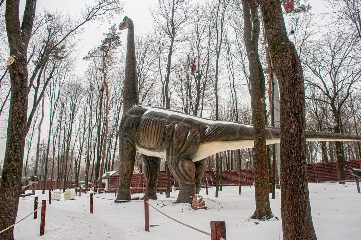 Trova un cane nella neve in 10 secondi / Collage Moje