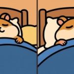 Test del QI: trovare 3 differenze in un’immagine di un