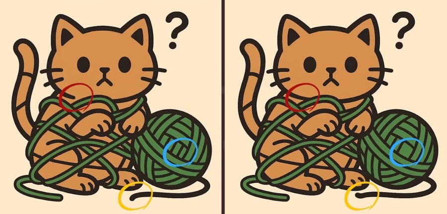Test del QI: trovare 3 differenze in un'immagine di un gatto in un gomitolo in 23 secondi
