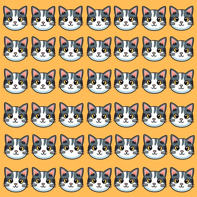 Questa illusione ottica è possibile solo per persone con un QI grandioso / immagine Moje