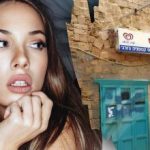 Solo un genio potrebbe trovare un cane per strada in